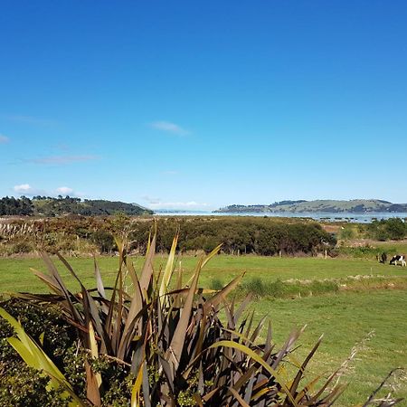 The Little Farm Coromandel Exterior foto