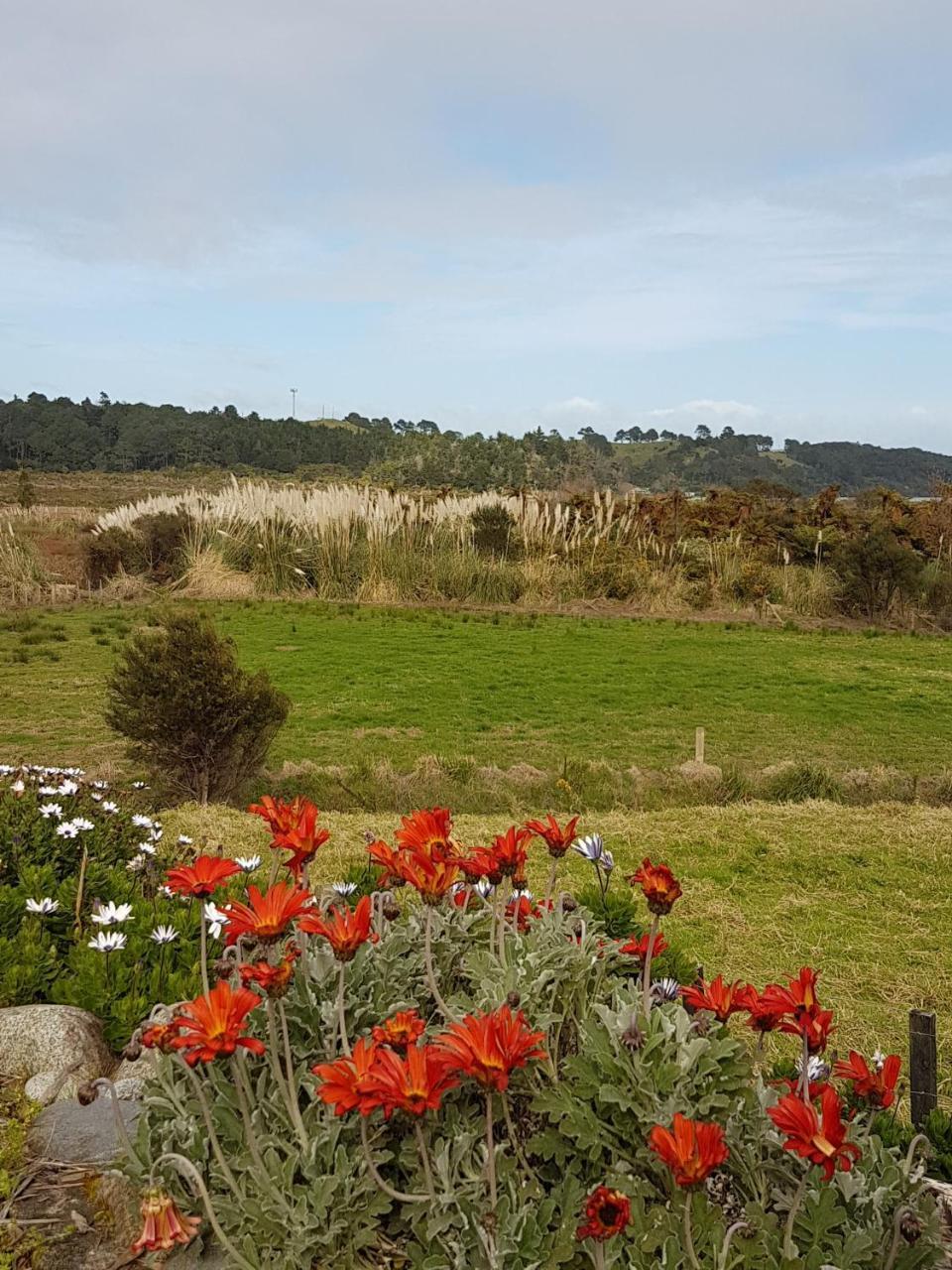 The Little Farm Coromandel Exterior foto