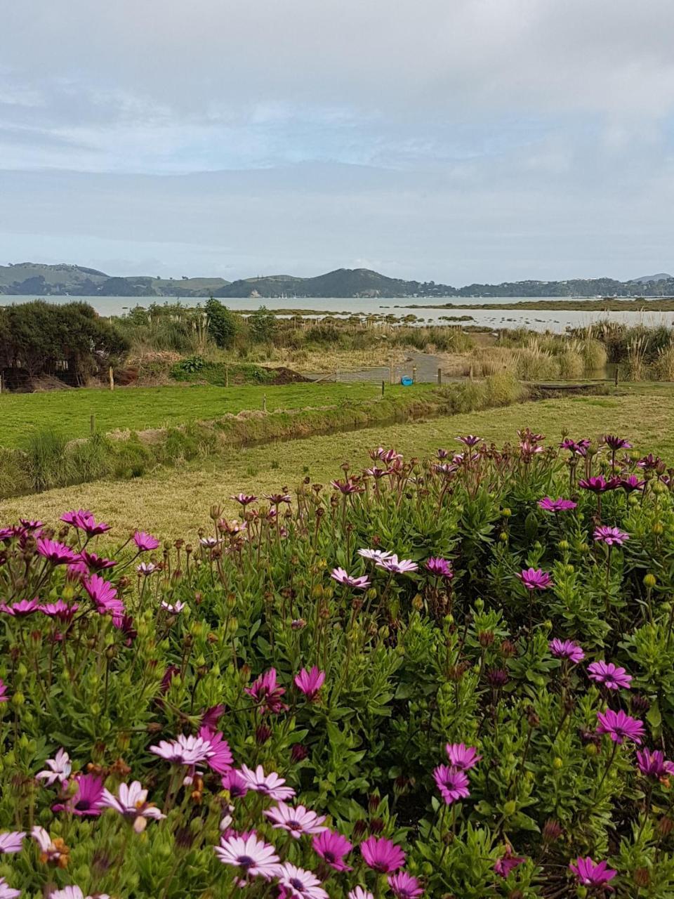 The Little Farm Coromandel Exterior foto